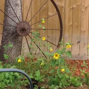 Meet your Posher, Norma-jean